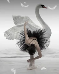Balerina z Czarnego łabędzia
