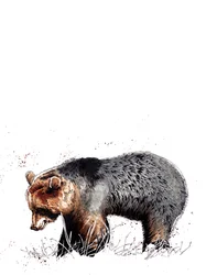 Niedźwiedź na białym, 2020