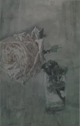 Róża