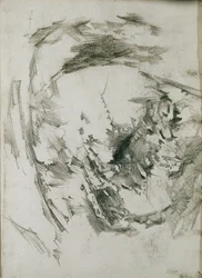 Omułek perłowy, 1904