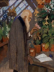 „Portret naukowca Charlesa Roberta Darwina (1809-1882) badającego rośliny w szklarni Langdon-Down” Obraz Michaiła Dmitriewicza Ezuczewskiego (1880-1928) 1920 Państwowe Muzeum Darwina, Moskwa