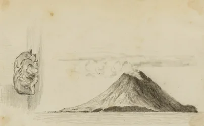 Stromboli/śpiący pies