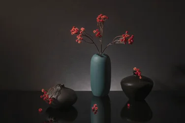 Elegancka martwa natura z czerwonymi jagodami