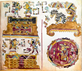 Cywilizacja Mixtec: Kodeks Mixtec z ilustracjami codziennych czynności - Sztuka prekolumbijska, cywilizacja mieszana: scenes de vie quotidienne - Fragment kopii Kodeksu Vindobonensis lub kodeksu wiedeńskiego wysłanego przez Hernana Cortesa do Karola V w 15