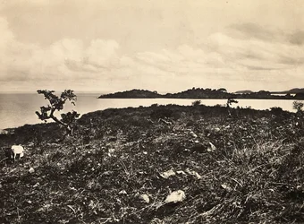 „Budowanie imperium” w epoce faszystowskiej: Jezioro Tana. Etiopia, 09.05.1936 (zdjęcie czarno-białe)