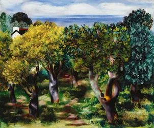 Krajobraz w Sanary; Paysage de Sanary