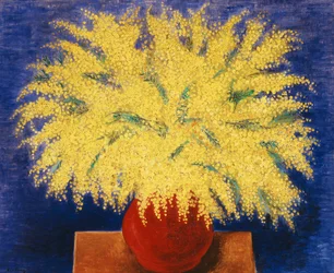 Waza mimozy