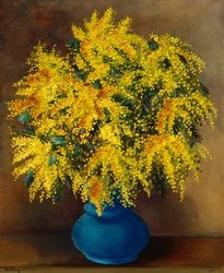 Waza mimozy; Waza mimozy