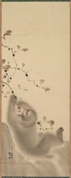 Małpa wisząca na gałęzi, 1780.