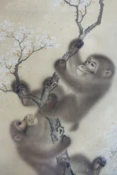 Małpy w kwitnącej wiśni, 1 z 2, Mori Sosen, Japonia, okres Edo, początek XIX wieku, tusz i kolor na jedwabiu - Arthur M. Sackler Museum, Harvard University - DSC01127