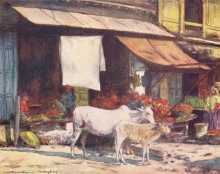 Zakątek targu owocowego, Delhi, 1905