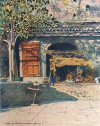 Czerwona migawka, 1905