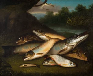 Ryba, 1790.