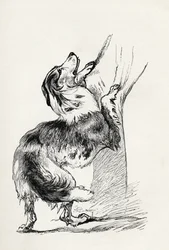 Półkrwi Owczarek pieszczący swojego pana, z „Wyrażania emocji u człowieka i zwierząt” Karola Darwina, 1872