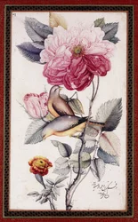 Gul-o Bulbul, ok. 1849-50 (akwarela na papierze)