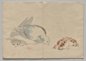 Scena z Kōrin Picture Book (tom 1)