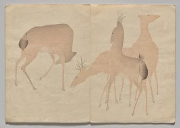 Scena z Kōrin Picture Book (tom 1)