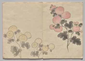 Scena z Kōrin Picture Book (tom 1)
