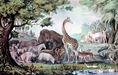 Adam Nazywający stworzenia, 1847.