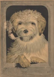 W porządku!, 1835-56., 1835-56.