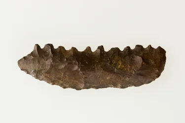 Sierp dwutwarzowy, c.4500-4000 pne (krzemień)