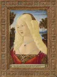 Portret damy