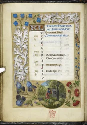 Dodaj stronę kalendarza MS 38126 f.11v na listopad, z „Księgi godzin, korzystanie z Rzymu” („Godziny Hutha”) 1485-90 (welum)