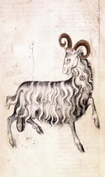 Sloane 3983 f3v Znak zodiaku Koziorożec (welum)
