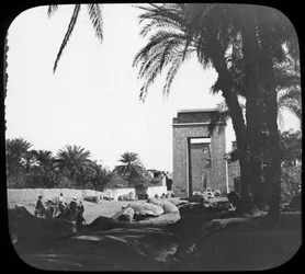 Aleja Sfinksów, Karnak, Egipt, ok. 1890