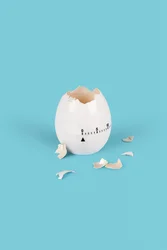 Egg, 2021 (zdjęcie ilustracyjne)