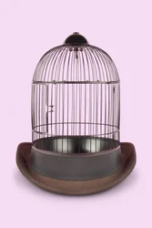 Mental Cage, 2020 (zdjęcie)