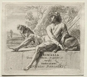 Animalia (seria)