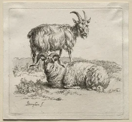 Animalia: Baran i Koza