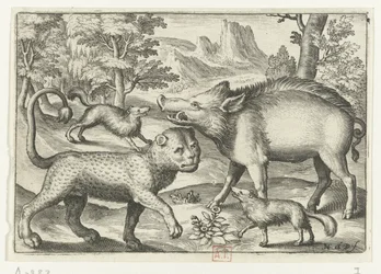 Lampart, dzik i dwa psy Animalivm qvadrvpedvm (tytuł serii) Zwierzęta w krajobrazach (tytuł serii)