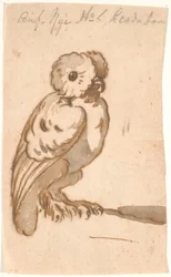 Sowa