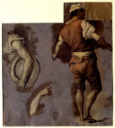 Studium anatomii, ruchów ramion i pleców Rysunek olejny: Nicolas Vleughels (1668-1737) Słońce. 0,28x0,25 m²