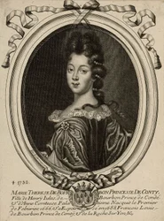 Maria Teresa de Bourbon, księżniczka Conti