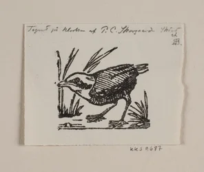 Ptaszek