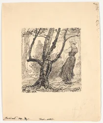 Świnia