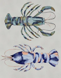 Akwarela „Niebieskie homary”