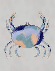 Spokojny krab niebieski