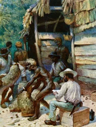 Kupiec z Wyspy Morza Południowego i jego worki z orzechami z kości słoniowej, 1908