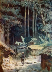 W głębi melanezyjskiego lasu, 1908
