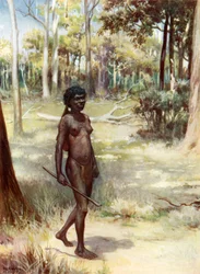 Kobieta z Queensland: Australia