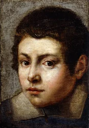 Głowa chłopca