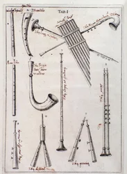 Instrumenty dęte Strona z utworu „Trzy rodzaje instrumentów muzycznych” o dawnych instrumentach autorstwa Francesco Bianchiniego