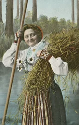 Norweżka podczas żniw (kolorowe zdjęcie)