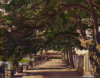 Stavanger: Kongsgaardveien (zdjęcie)