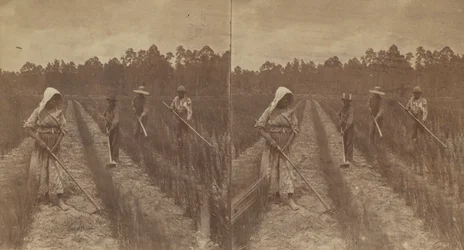 Pieczenie ryżu, 1876-1888.