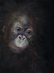 Mały orangutan 3, 2015 (akryl na drewnie)